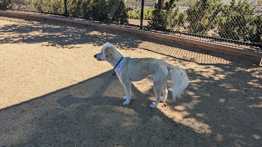 Mutt Cutts Dog Spa& Mobile Grooming