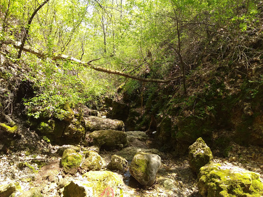 Park «Valley View Park», reviews and photos, 5575 Ozark Avenue North, Oak Park Heights, MN 55082, USA