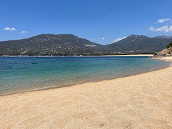 Photo de Amenagee Beach avec un rivage spacieux