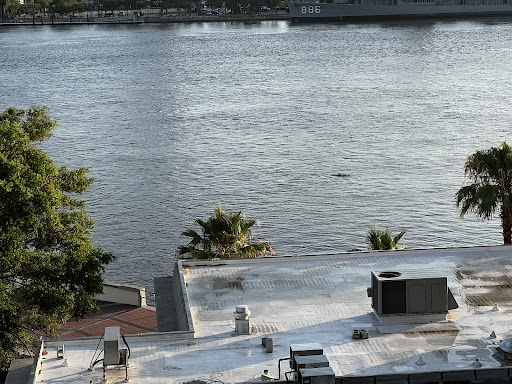 Tourist Attraction «Southbank Riverwalk», reviews and photos, 1001 Museum Cir, Jacksonville, FL 32202, USA