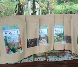 Bhuana asri, coffee plantation photo