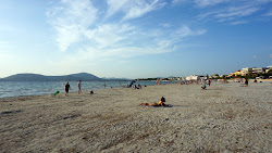 Lido di Alghero Plajı'in fotoğrafı - rahatlamayı sevenler arasında popüler bir yer