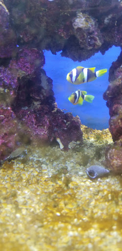 Pet Store «Pet Valu», reviews and photos, 11099 Resort Road a302, Ellicott City, MD 21042, USA