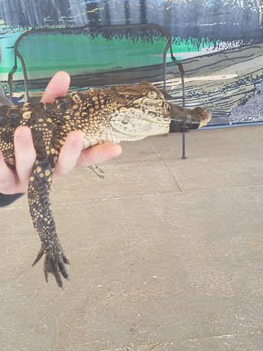 Zoo «Gators and Friends», reviews and photos, 11441 US-80, Greenwood, LA 71033, USA