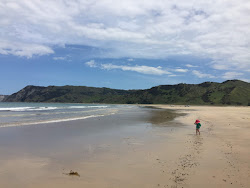 Anaura Beach'in fotoğrafı dağlarla çevrili