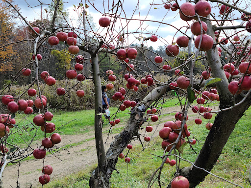 Winery «Furnace Brook Winery», reviews and photos, 508 Canaan Rd, Richmond, MA 01254, USA