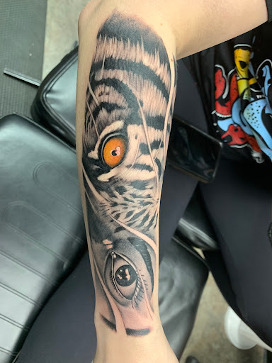 Explore butterfly tattoo ideas on arm, creative tattoo ideas in Raleigh, available at Warlocks Tattoo Inc (No Piercings)