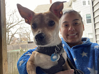 Scubi Blues Pet Services - Photo 7 - Car repair in , Springfield