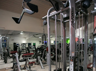 Tim's Gym