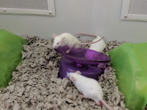 Pet Supply Store «Petco Animal Supplies», reviews and photos, 6301 Pats Ranch Rd, Mira Loma, CA 91752, USA