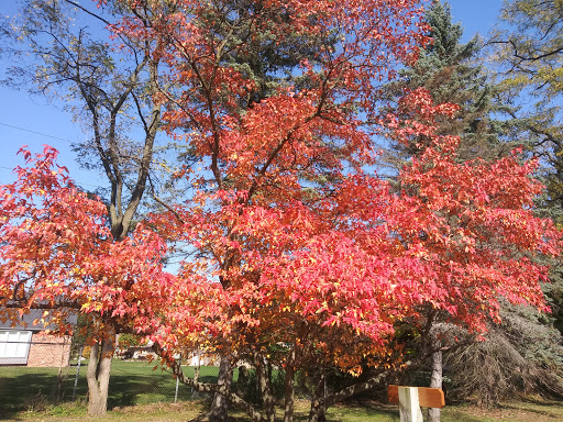 Nature Preserve «Stage Nature Center», reviews and photos, 6685 Coolidge Hwy, Troy, MI 48098, USA