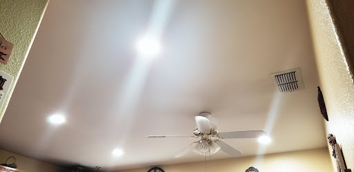 Vine Electric image