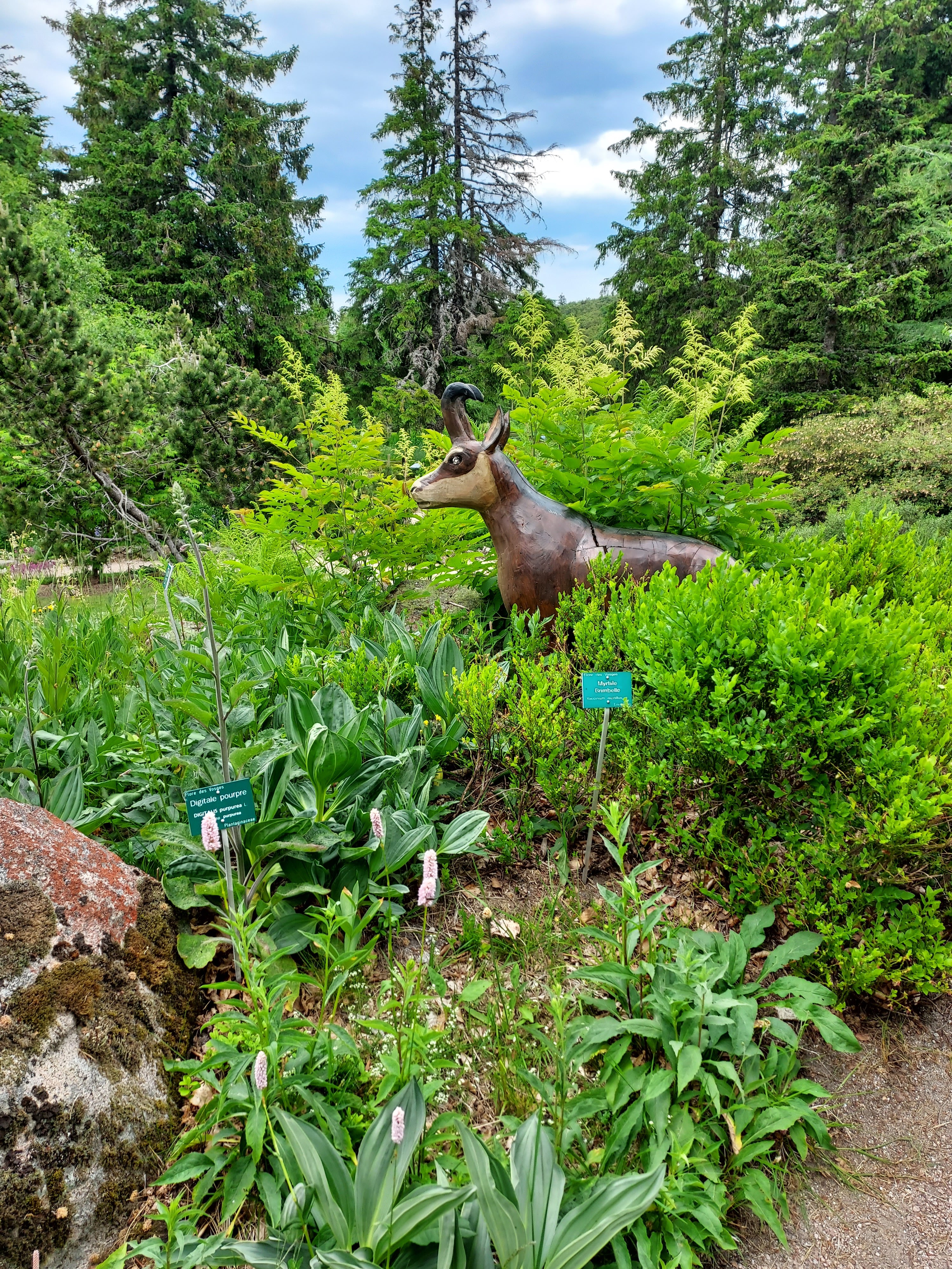 Photo n° 7 de l'avis de Quentin.r fait le 27/06/2023 à 17:39