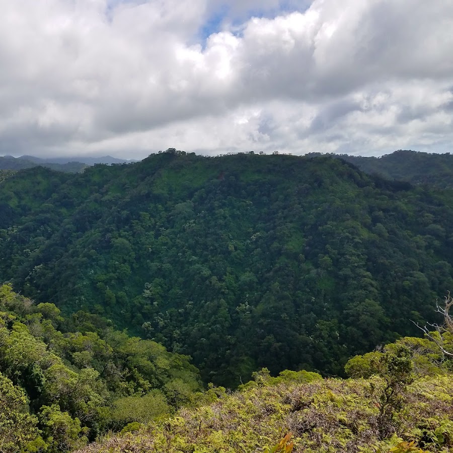 ʻEwa Forest Reserve