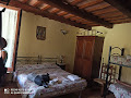 Chambres Vacances à la ferme Agriturismo il Renaiolo 06038 Spello (miniature)