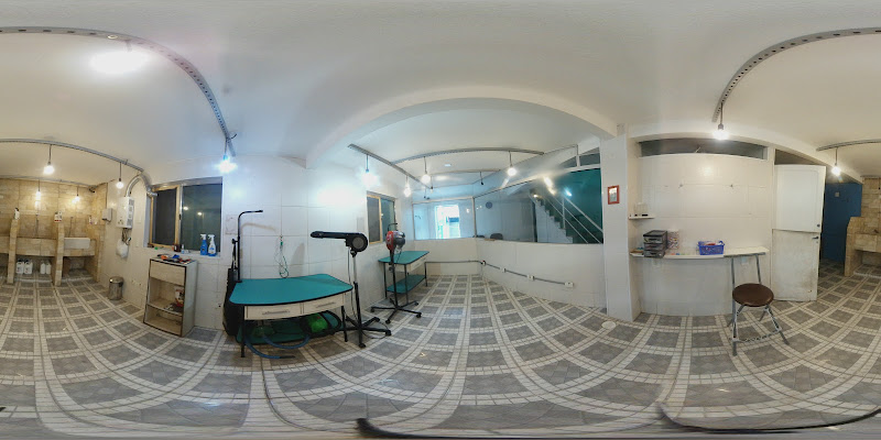 MESTRE VET - Zona Sul — O profissional veterinário em São Paulo, SP