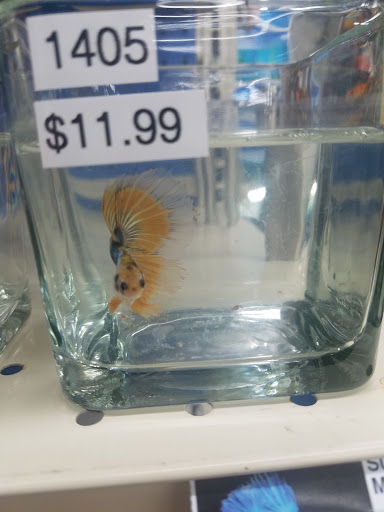 Pet Supply Store «Pet Supermarket», reviews and photos, 1746 E Silver Springs Blvd, Ocala, FL 34470, USA