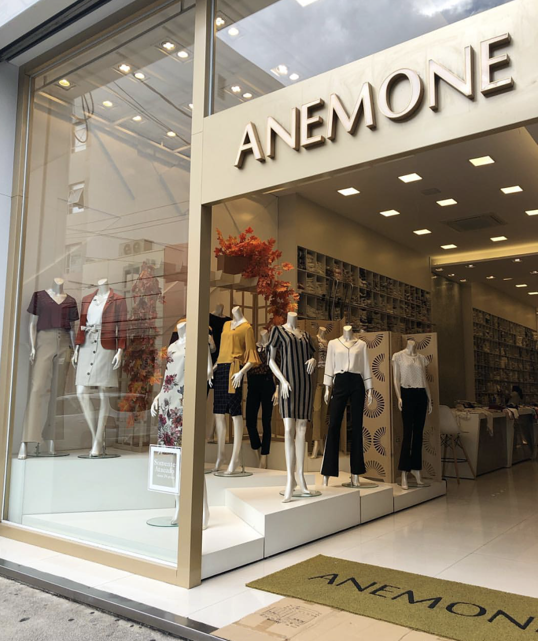 Anemone Fashion