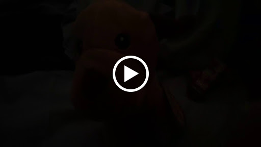 Grocery Store «Xinantecatl Grocery Store», reviews and photos, 128 N Main St, Souderton, PA 18964, USA