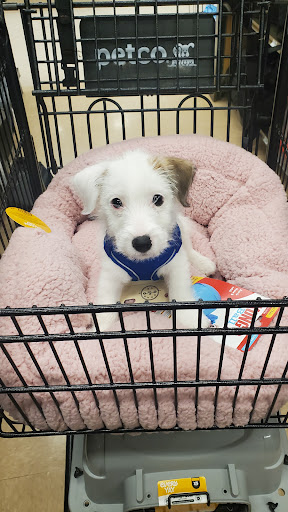 Pet Supply Store «Petco Animal Supplies», reviews and photos, 244 Pioneer Trail, Chaska, MN 55318, USA