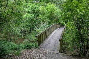 Bledisloe Park image