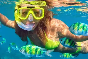 Snorkeling & Shelling Destin image