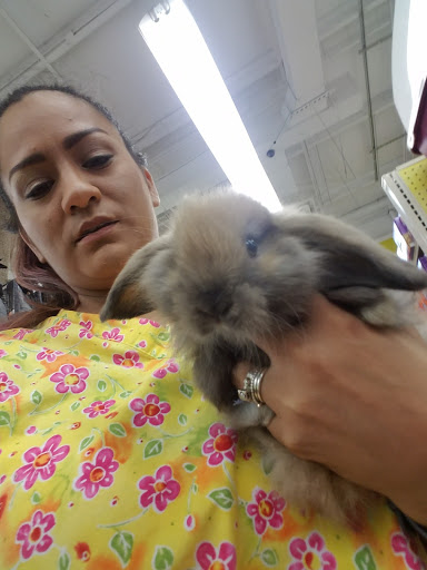 Pet Supply Store «Pet Supermarket», reviews and photos, 226 W 23rd St, Panama City, FL 32405, USA