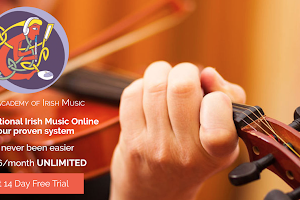 Online Academy of Irish Music image