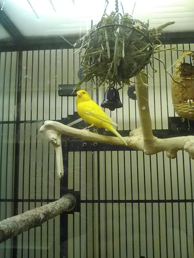 Shopping Mall «Cottman-Bustleton Center», reviews and photos, 2139 Cottman Ave, Philadelphia, PA 19149, USA