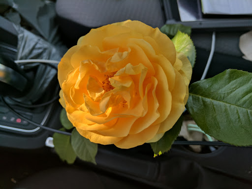 Office Supply Store «Staples», reviews and photos, 539 Roosevelt Rd, Glen Ellyn, IL 60137, USA