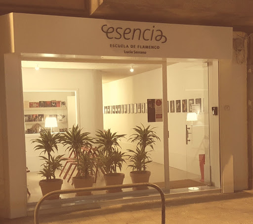 Imagen del negocio Esencia Escuela de Flamenco en Santander, Cantabria