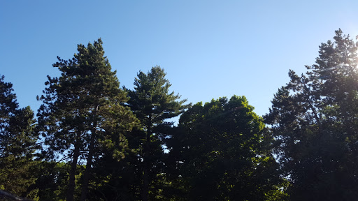 Golf Club «Flushing Valley Golf Club», reviews and photos, 1124 E Main St, Flushing, MI 48433, USA