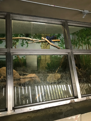 Zoo «Stone Zoo», reviews and photos, 149 Pond St, Stoneham, MA 02180, USA