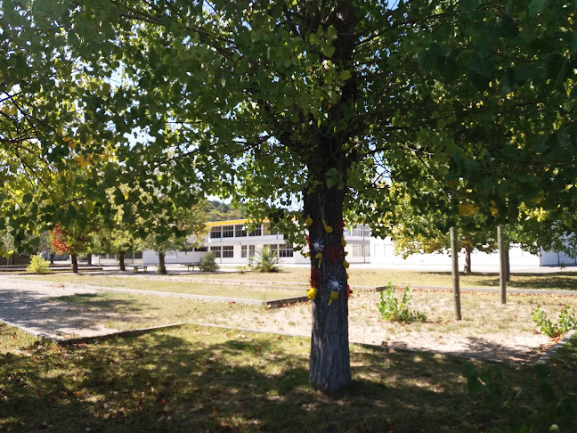 Avaliações doEB 2/3 Poeta Manuel da Silva Gaio em Coimbra - Escola