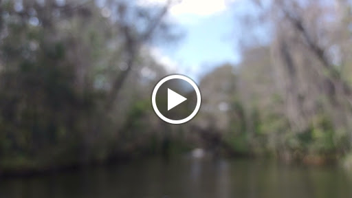 Event Venue «Tavares Pavilion on the Lake», reviews and photos, 200 S Disston Ave, Tavares, FL 32778, USA