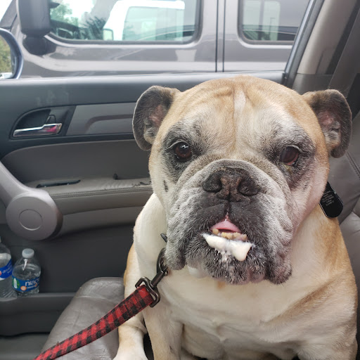 Coffee Shop «Starbucks», reviews and photos, 6 N Main St, Branford, CT 06405, USA