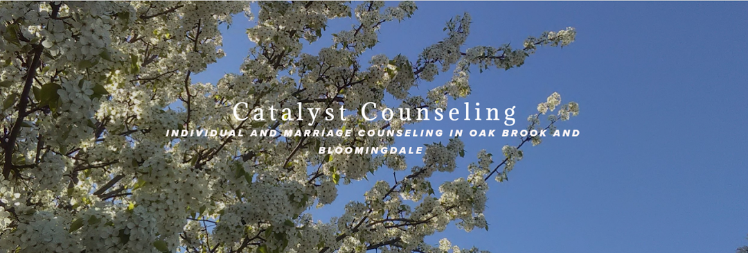 Catalyst Counseling, LLC