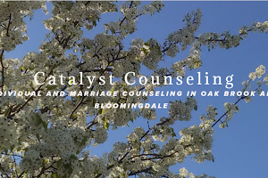 Catalyst Counseling, LLC image