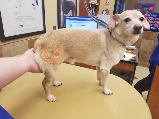 Pet Supply Store «PetSmart», reviews and photos, 1125 Hover St, Longmont, CO 80501, USA