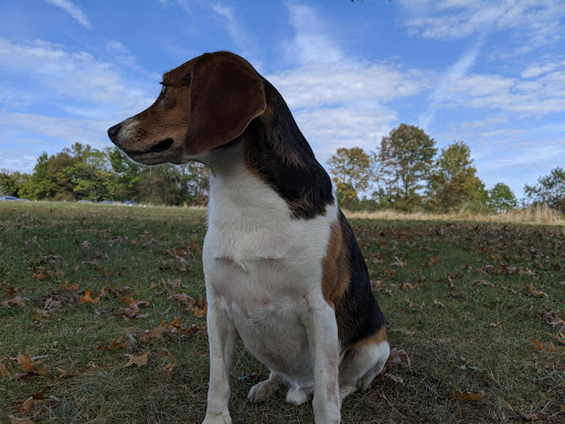 Nature Preserve «Sourland Mountain Preserve», reviews and photos, 421 E Mountain Rd, Hillsborough Township, NJ 08844, USA