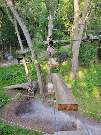 Theme Park «TreeHoppers Aerial Adventure Park», reviews and photos, 27839 St Joe Rd, Dade City, FL 33525, USA