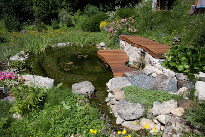 EAS Paysages Aquatiques à Entrelacs