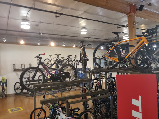 Bicycle Store «Trek Bicycle Store», reviews and photos, 1800 E Fort Lowell Rd #100, Tucson, AZ 85719, USA