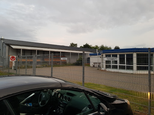 Tierarzt Lampertheim, Kleintierpraxis Hüttenfeld unter Lampertheim, 