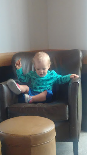 Coffee Shop «Starbucks», reviews and photos, 7398 Seminole Blvd, Seminole, FL 33772, USA