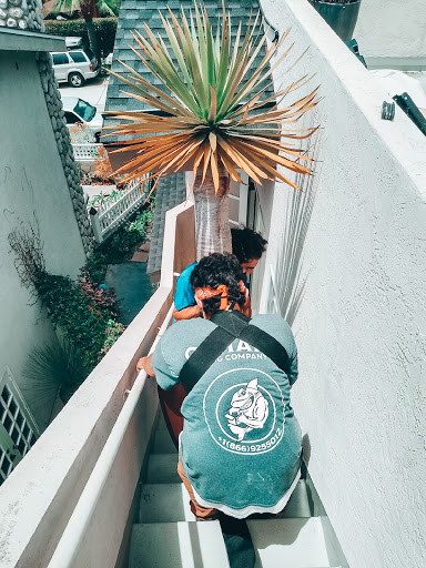 Moving Company «Qshark Moving Company», reviews and photos, 1875 Sherington Pl s202, Newport Beach, CA 92663, USA