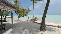 Foto von Sunrise Island Beach wilde gegend