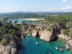Photo de Platja de la Foradada avec un niveau de propreté de très propre
