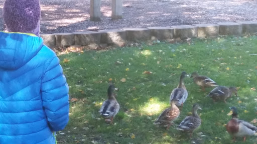 Park «Akin Riverside Park», reviews and photos, 1721 River Ave, Anoka, MN 55303, USA