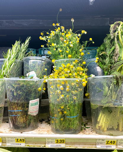 Grocery Store «La Plaza Market», reviews and photos, 515 McLaughlin Ave, San Jose, CA 95116, USA